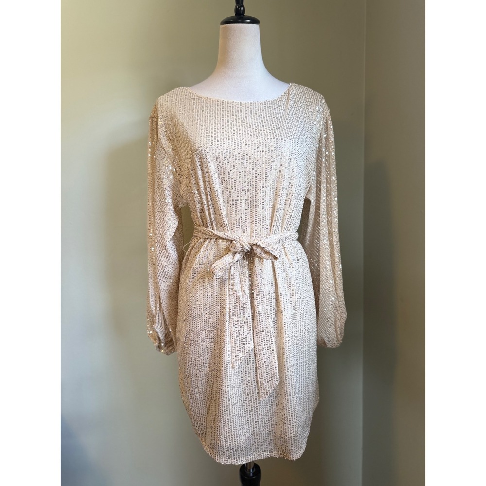 Sparkling Gold Sequin Long Sleeve Belted Mini Dress Party Glam Y2K boho fairy